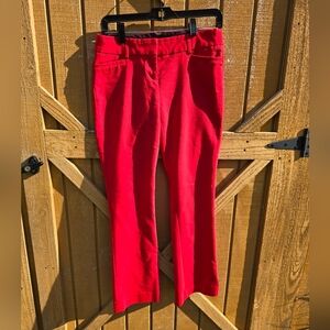 Express Red Straight Leg Pants